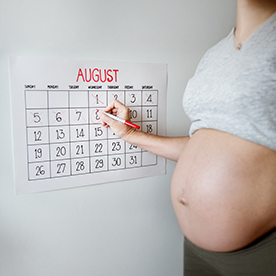Pregnancy Calculator