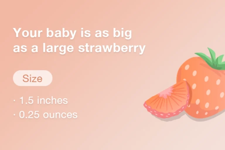 your-baby-11-weeks