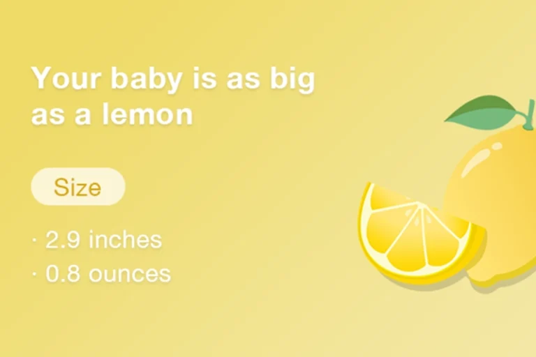 your-baby-13-weeks