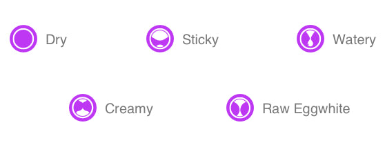 types of cervical mucus