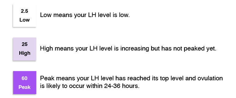 How to Read Ovulation Tests, LH Test, LH Surge, LH Peak