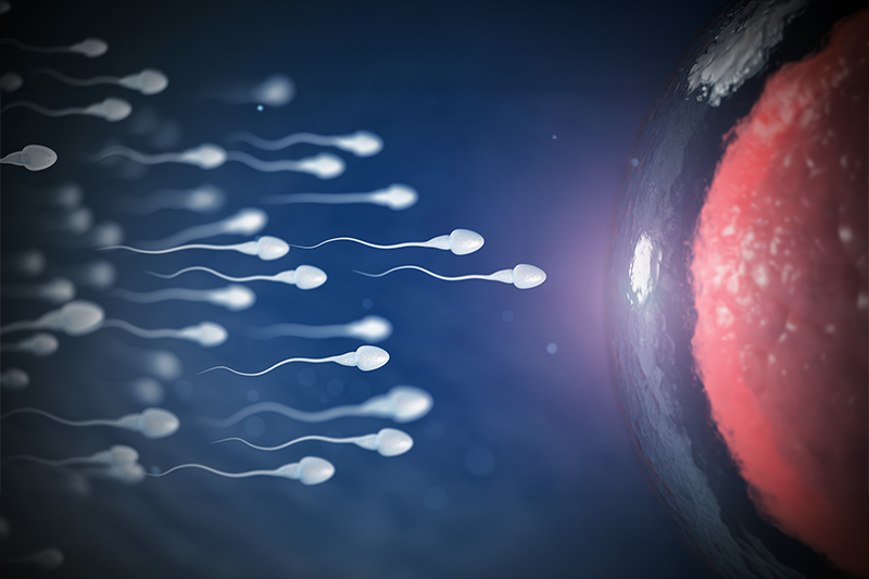sperm count for pregnancy