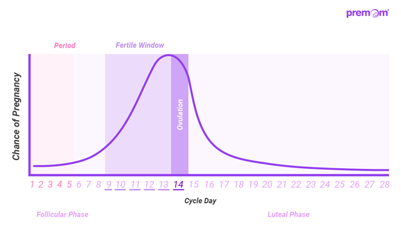 Ovulation timing